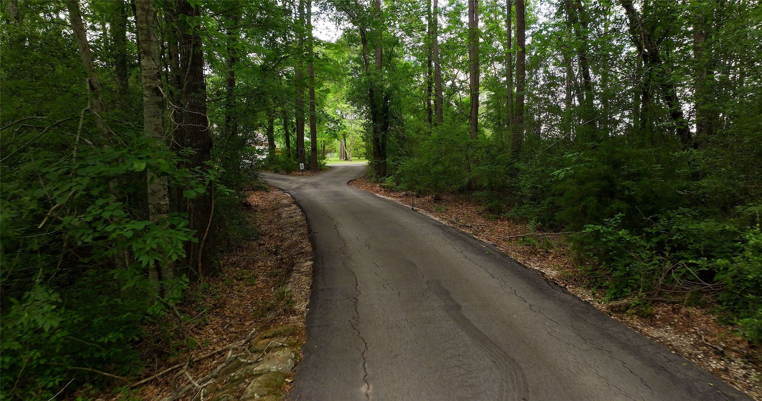 Montgomery, TX 77356,24394 Gay Lake RD