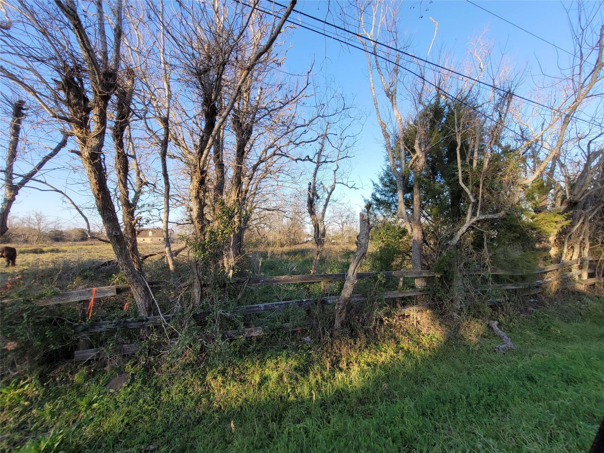 Santa Fe, TX 77510,0000 4 1/2 ST