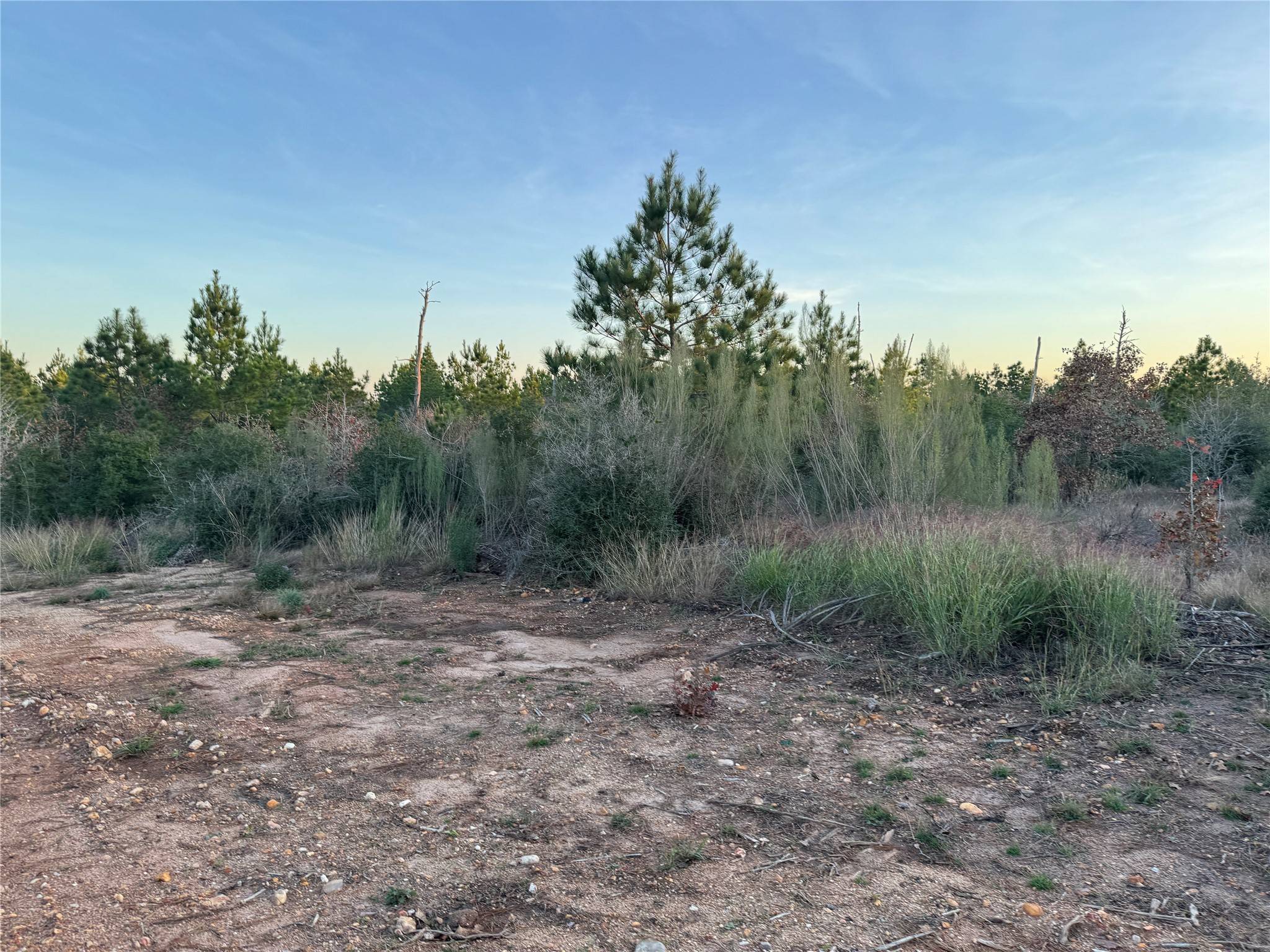 Bastrop, TX 78602,TBD E SH-71