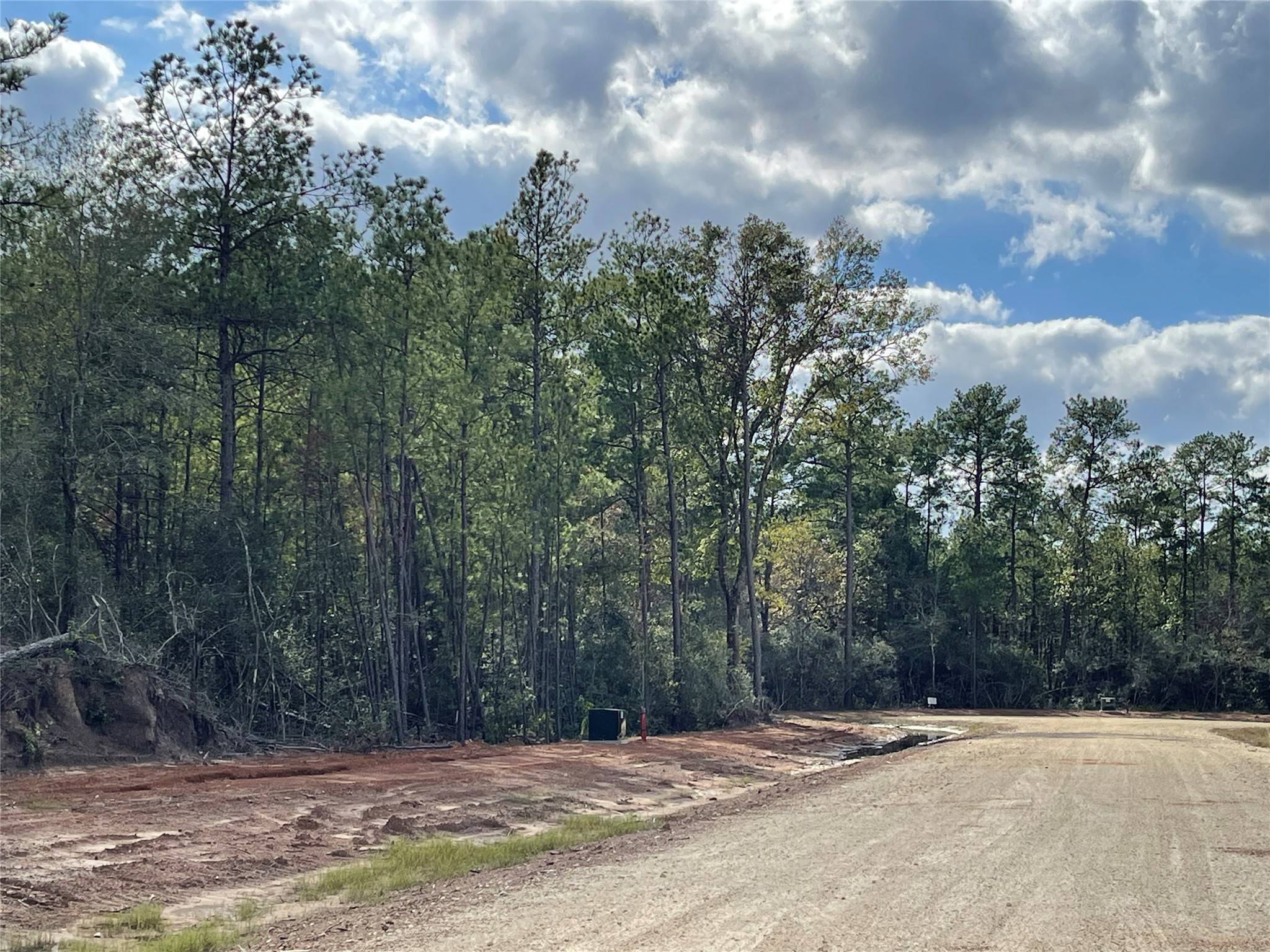 Willis, TX 77378,15814 Vine View CT