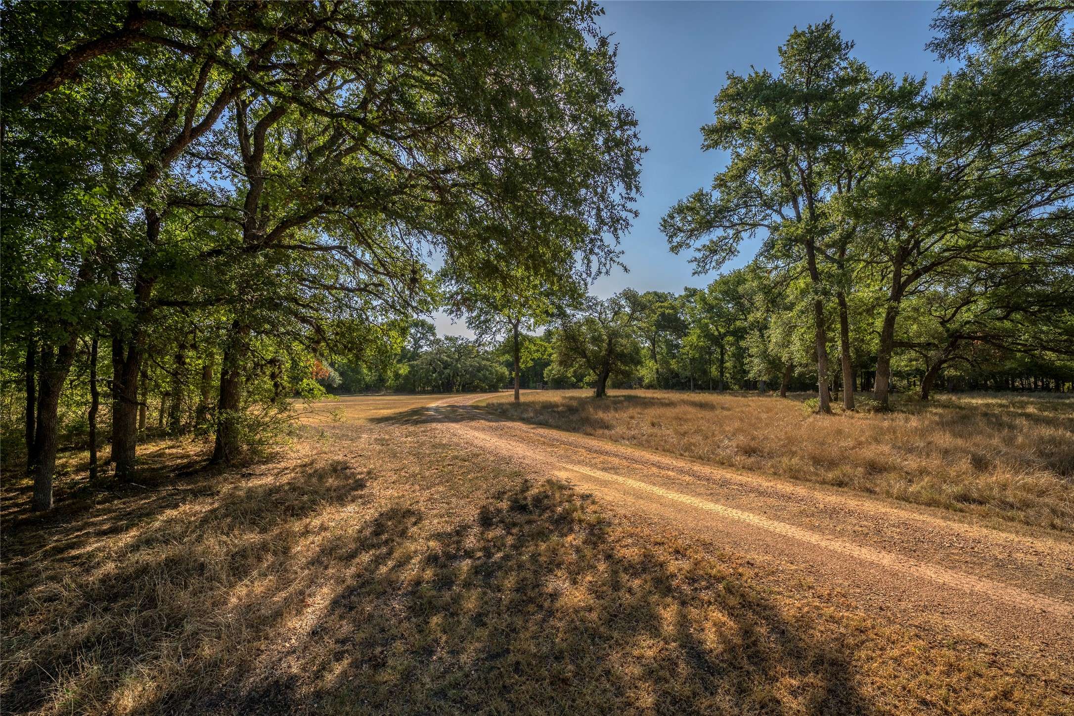 Burton, TX 77835,0000 Iron Bridge RD