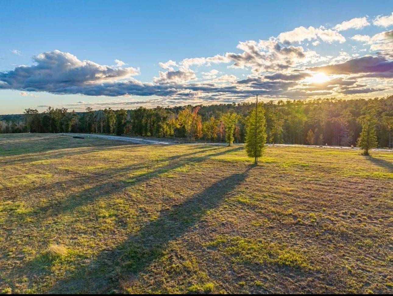 Livingston, TX 77351,0000 Covey CIR