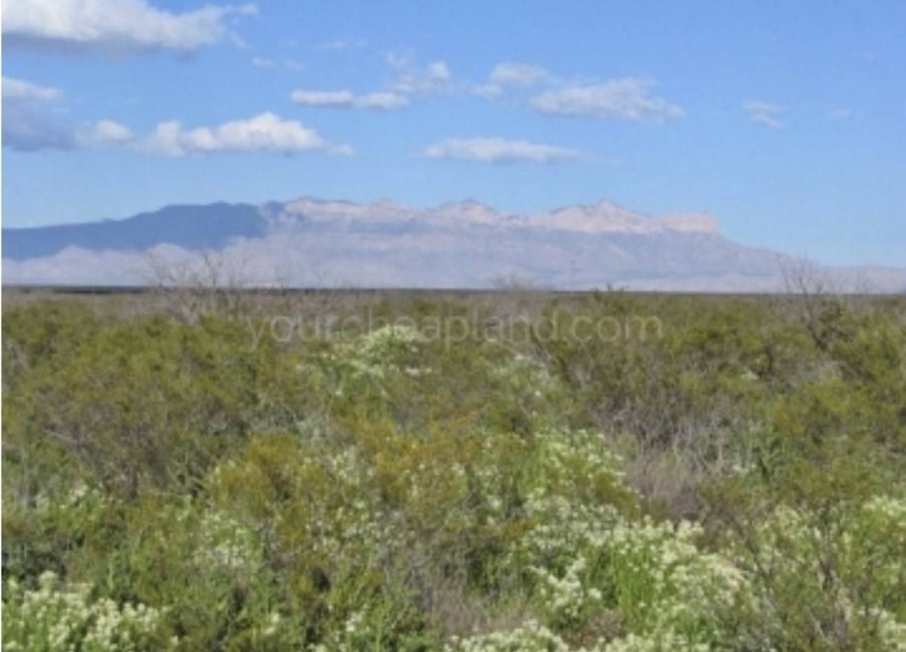 Dell City, TX 79851,2050 E Abigail Ln