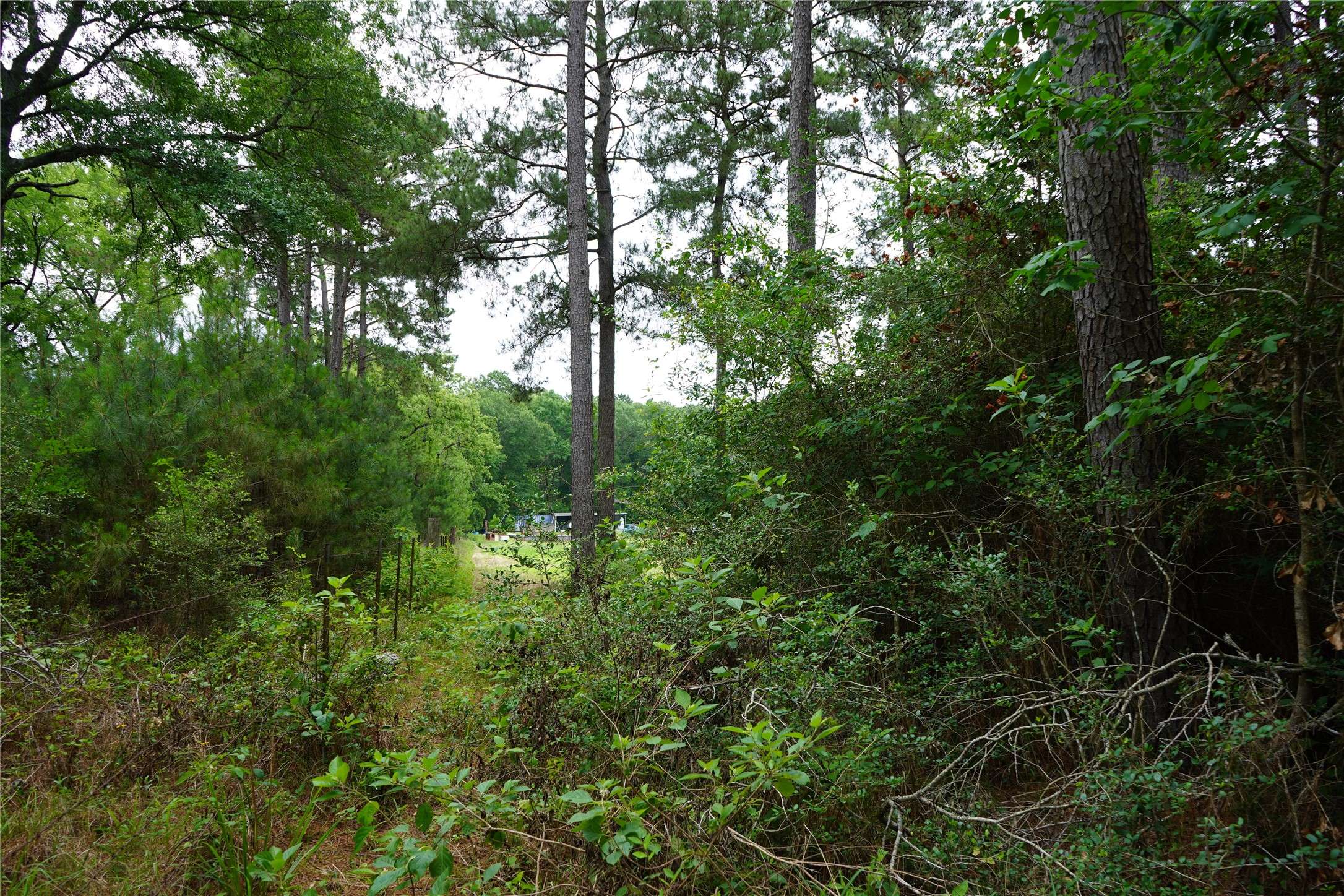 Navasota, TX 77868,4845 Long Shadows RD