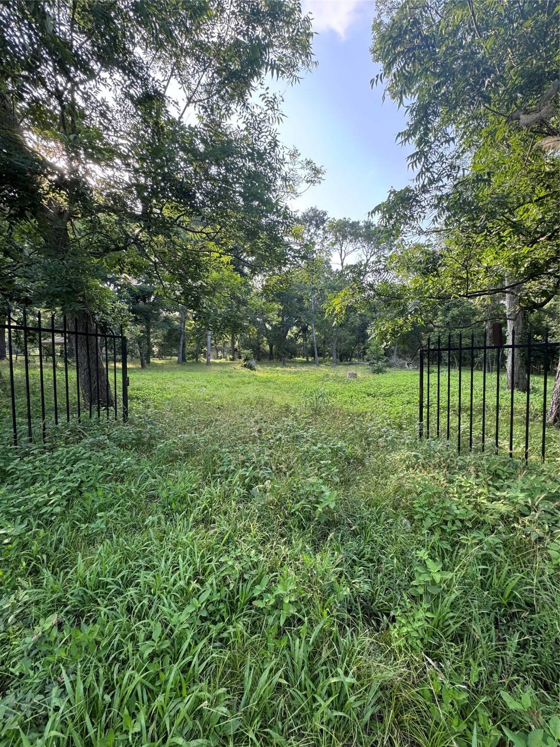 Needville, TX 77461,0 Tierra Grande DR