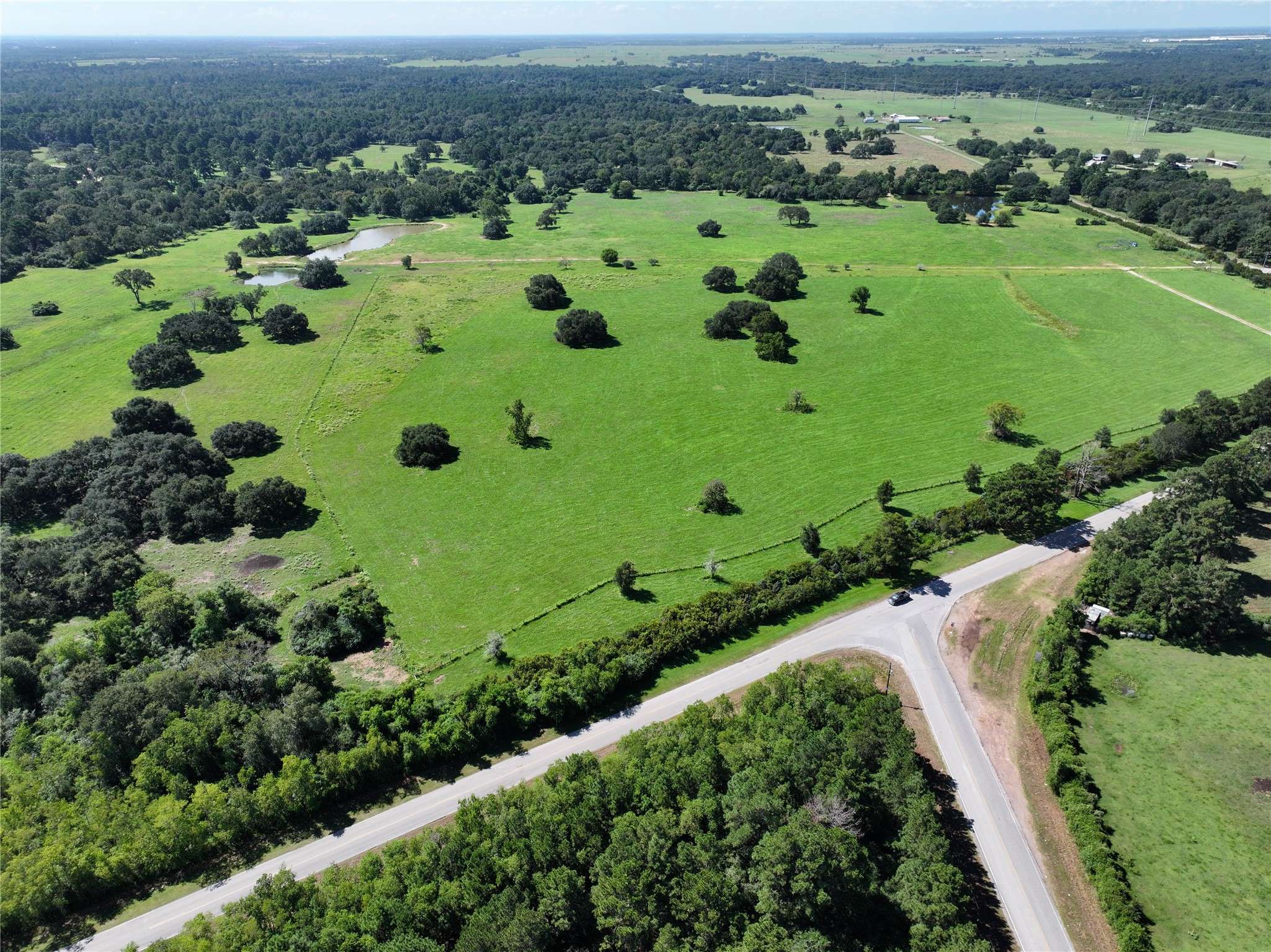 Hockley, TX 77447,25895 Magnolia RD