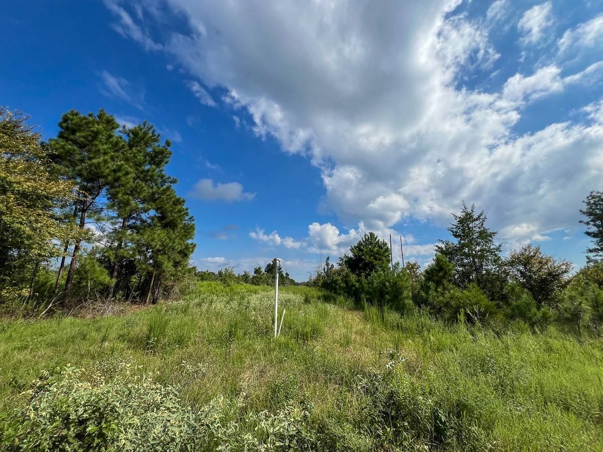 Timpson, TX 75975,01 CR 4916
