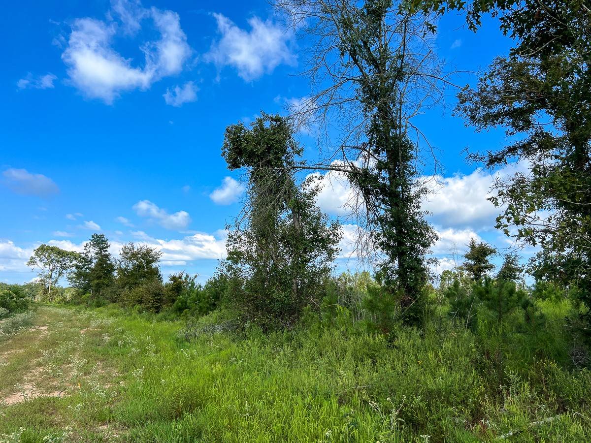 Timpson, TX 75975,01 CR 4916