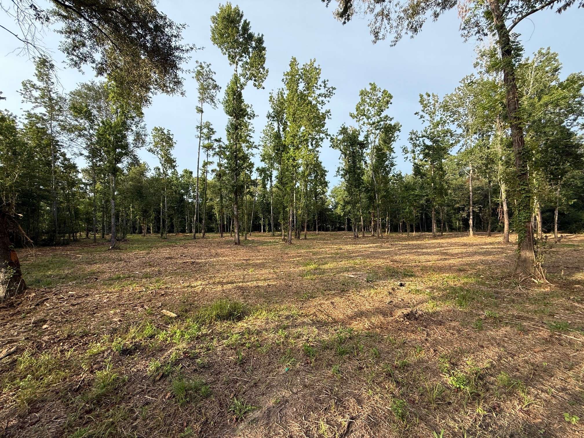 Ames, TX 77575,0 Walters RD