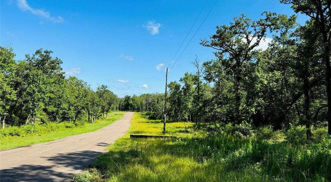 Buffalo, TX 75831,TBD Tract 10 County Road 2925