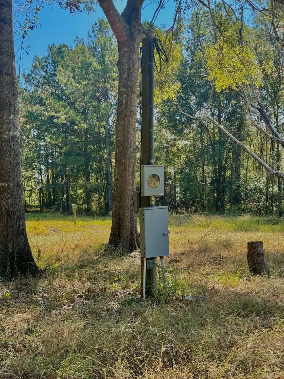 Conroe, TX 77303,7300 Hoda DR