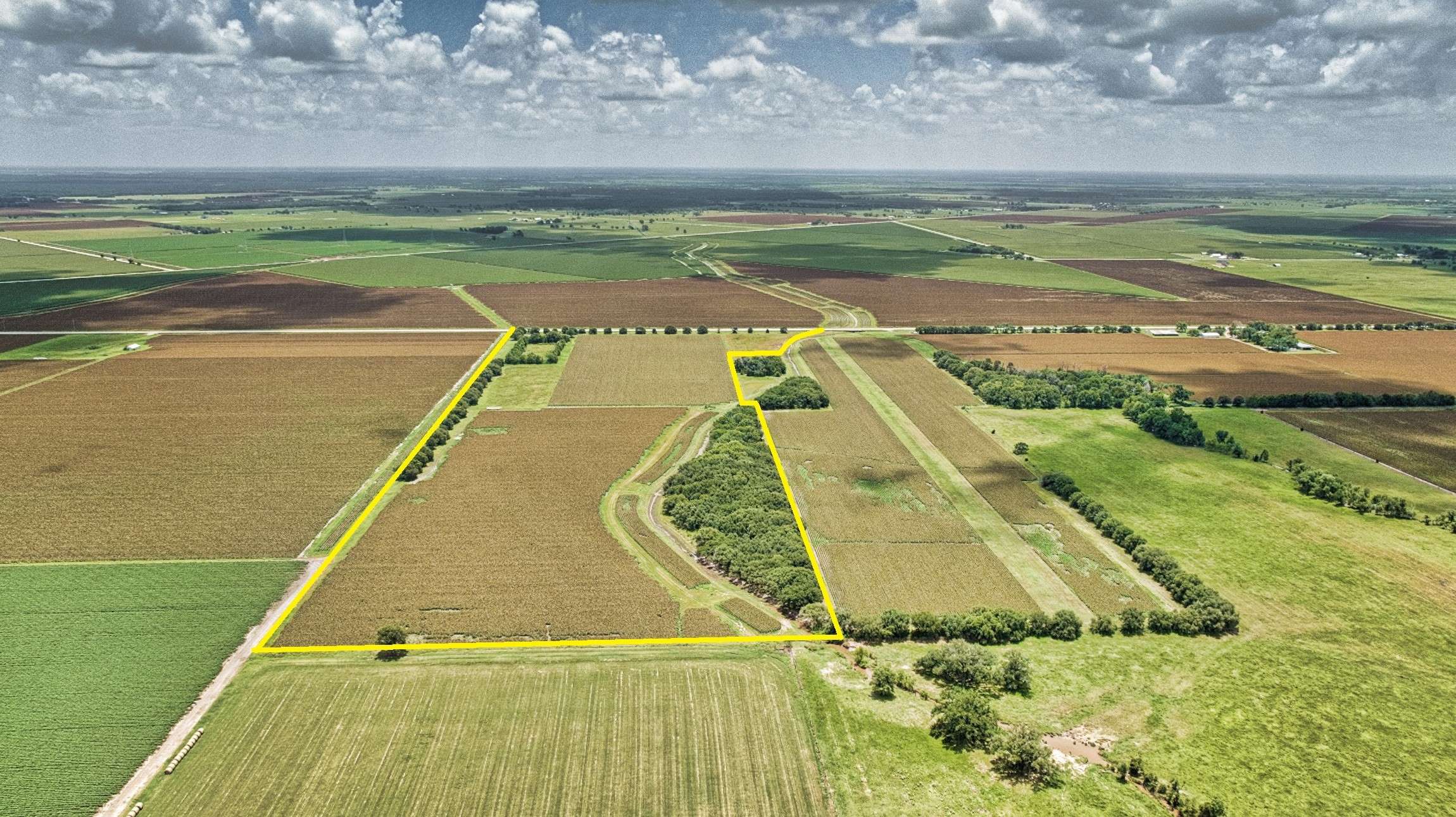 Damon, TX 77430,TBD Fm 1462 RD