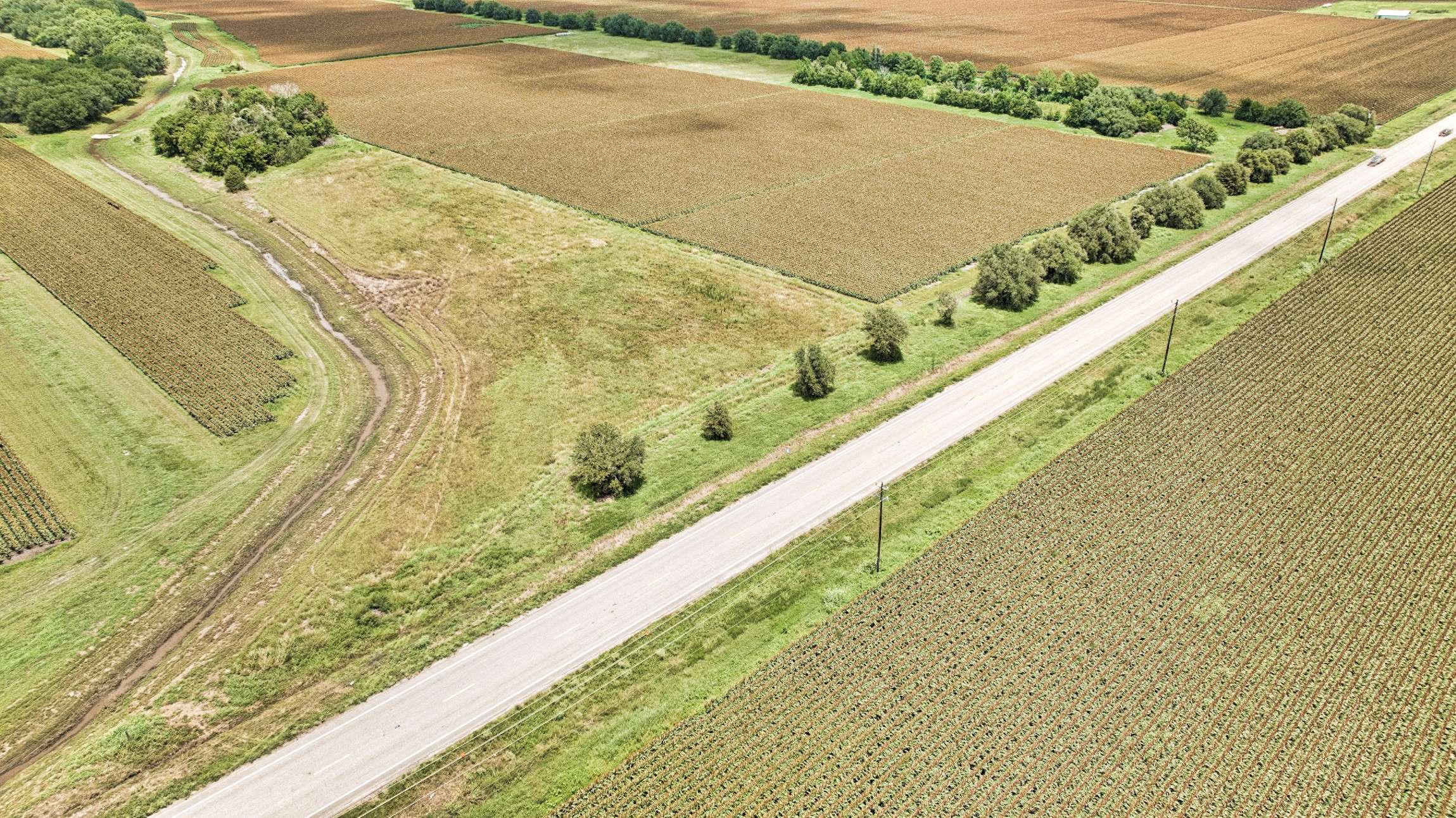 Damon, TX 77430,TBD Fm 1462 RD