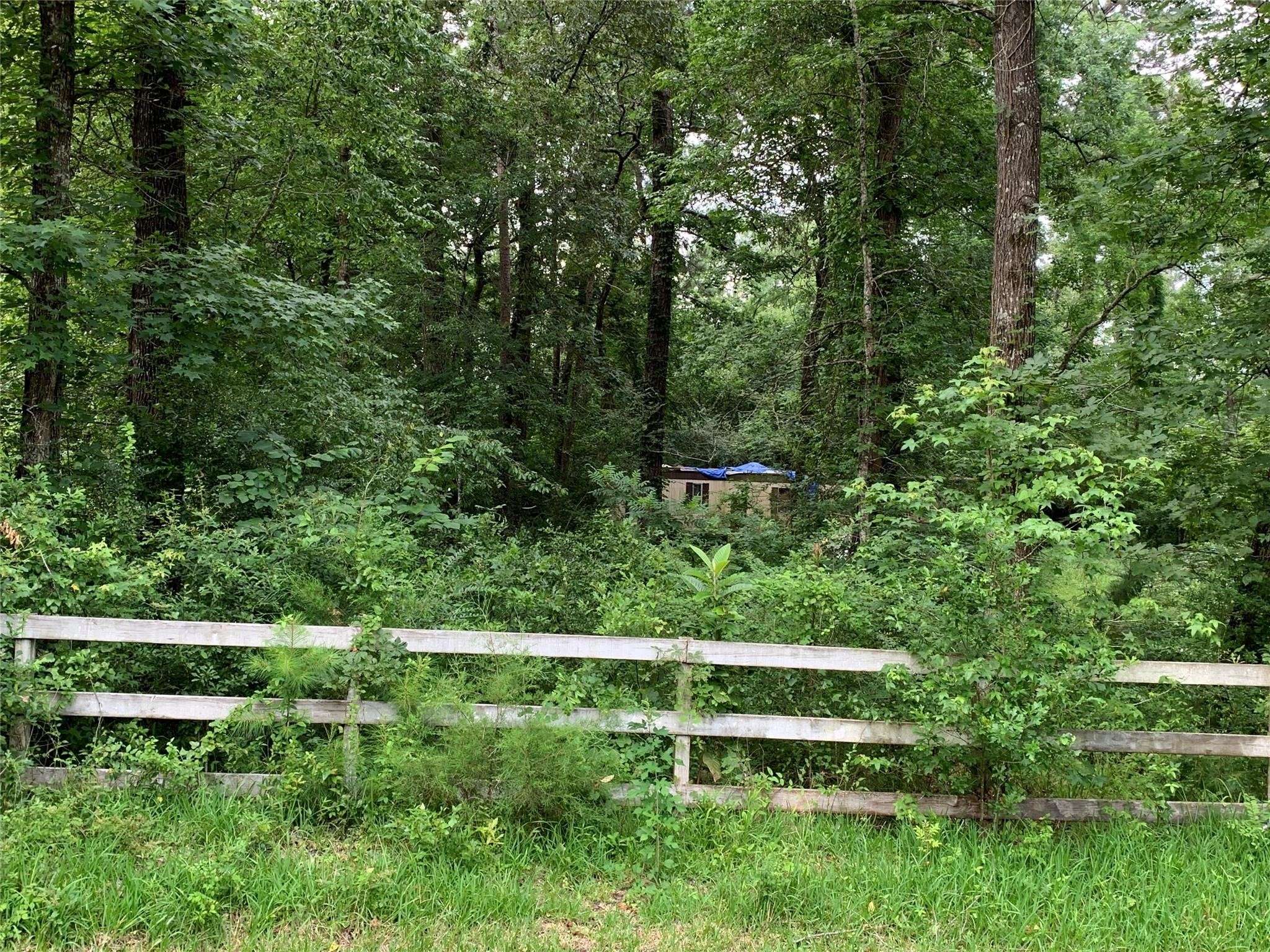 Magnolia, TX 77354,31110 Goldenrod LN