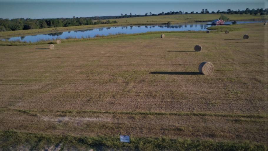 Hillister, TX 77624,TBD Green Valley Court