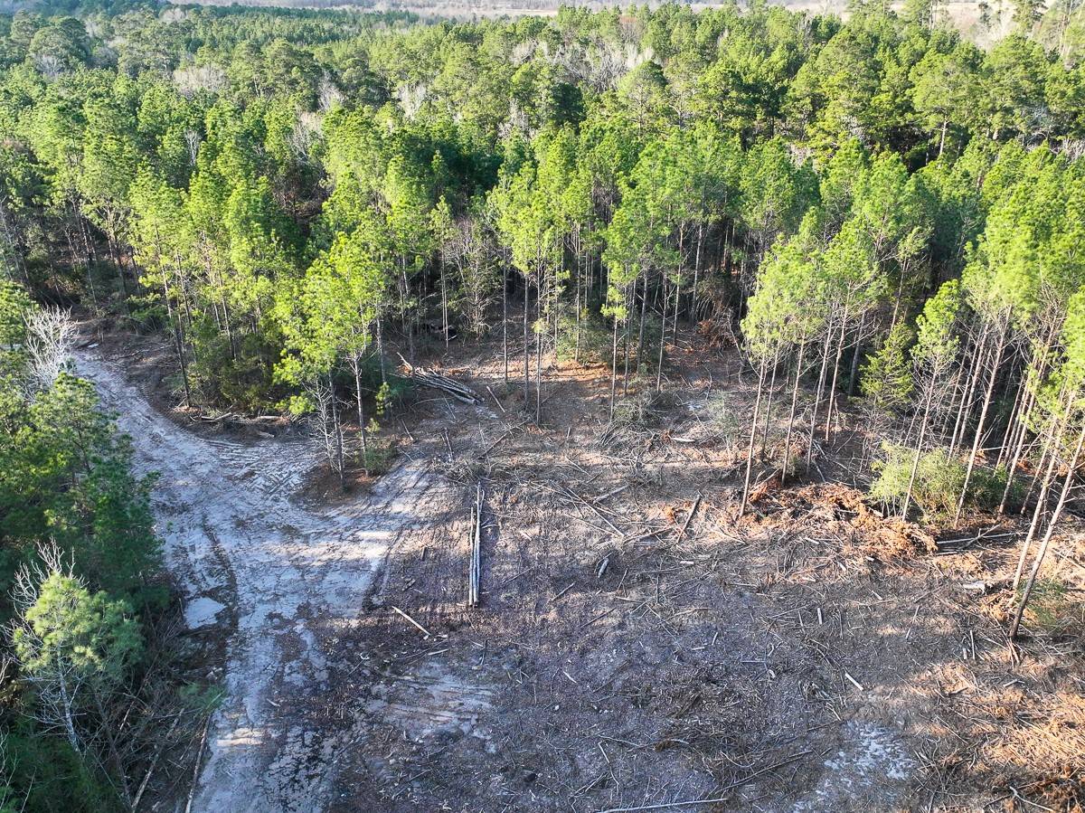 Trinity, TX 75862,TBD Off FM 355