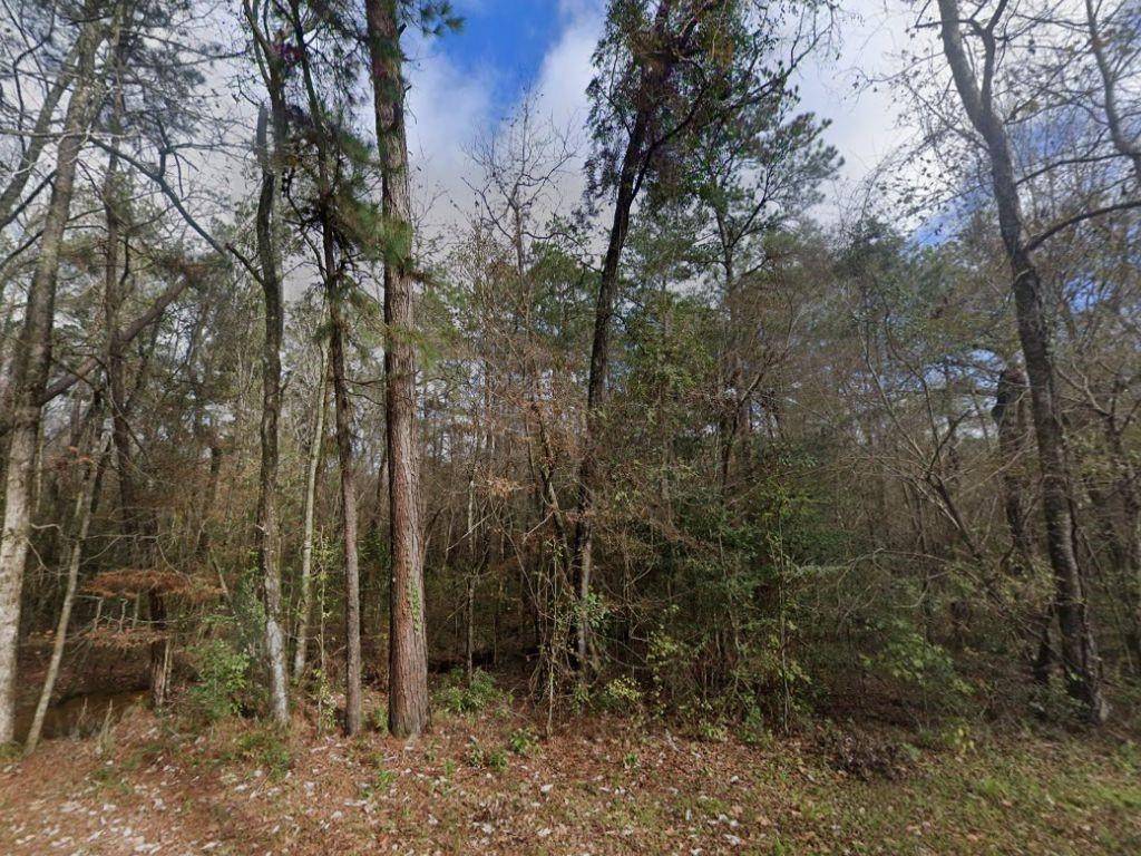 Conroe, TX 77303,10936 Royal Magnolia