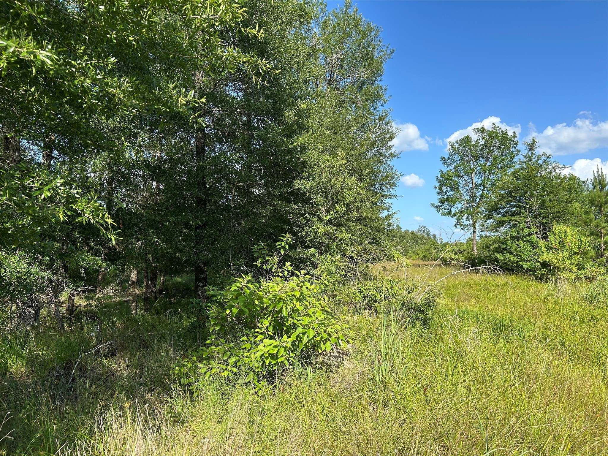 Lovelady, TX 77854,Tract 35 FM 230