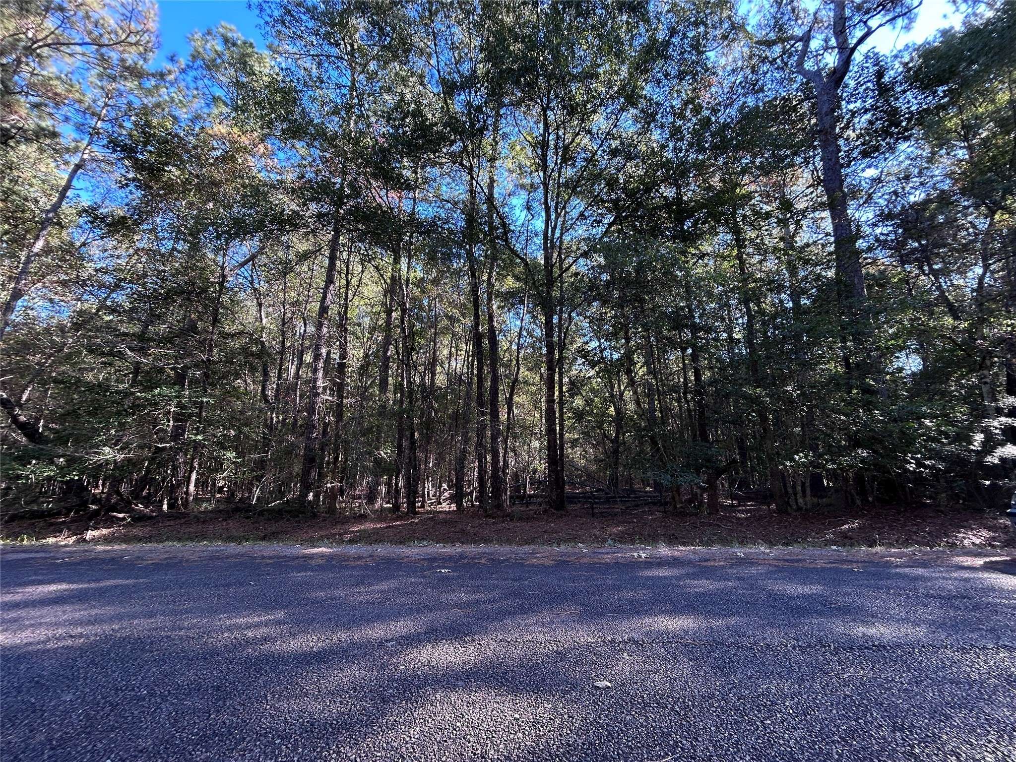 Village Mills, TX 77663,lot 16 Hackberry DR