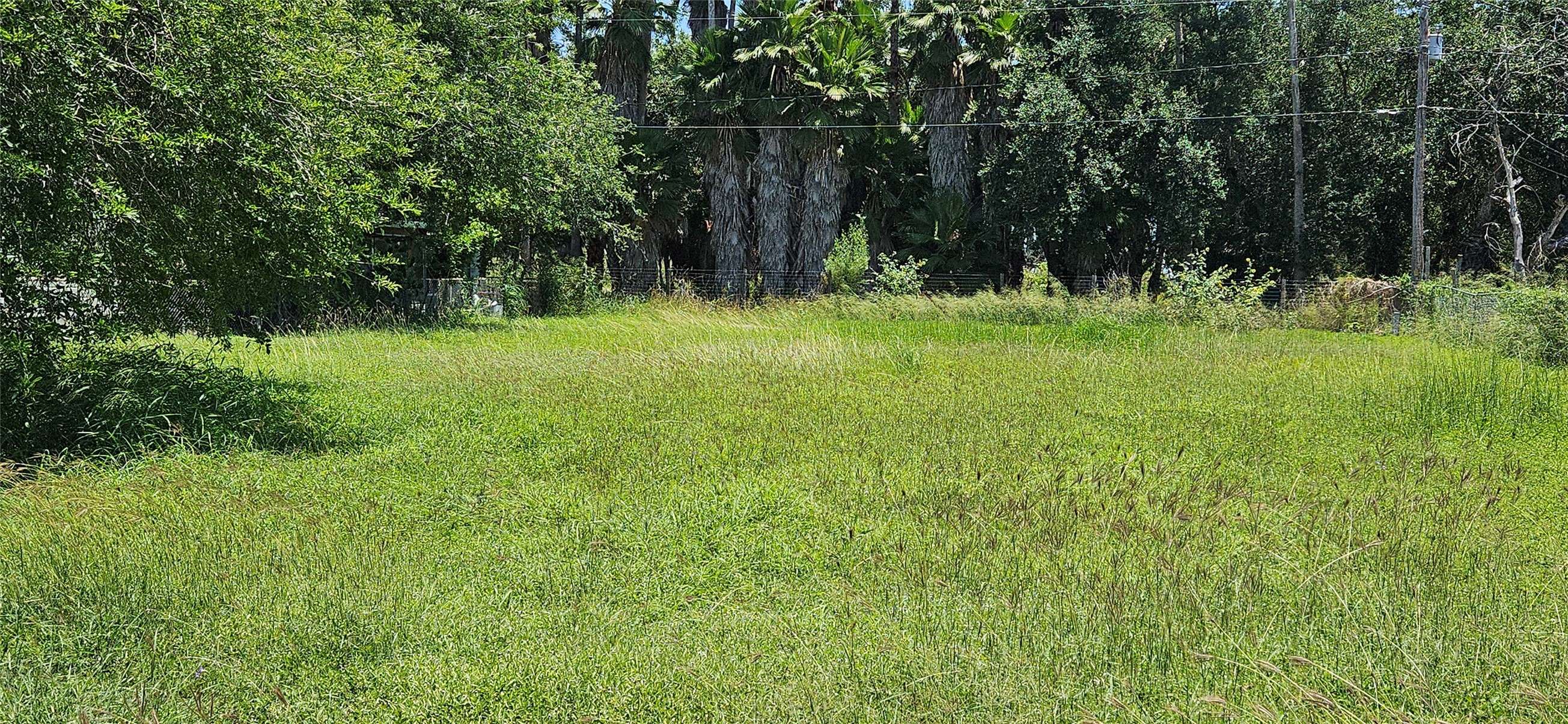 Primera, TX 78552,N/A San Miguel ST