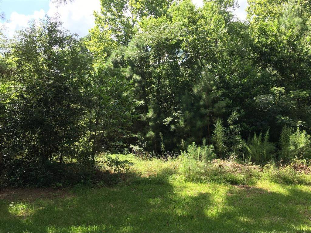 Shepherd, TX 77371,21 Seals AVE