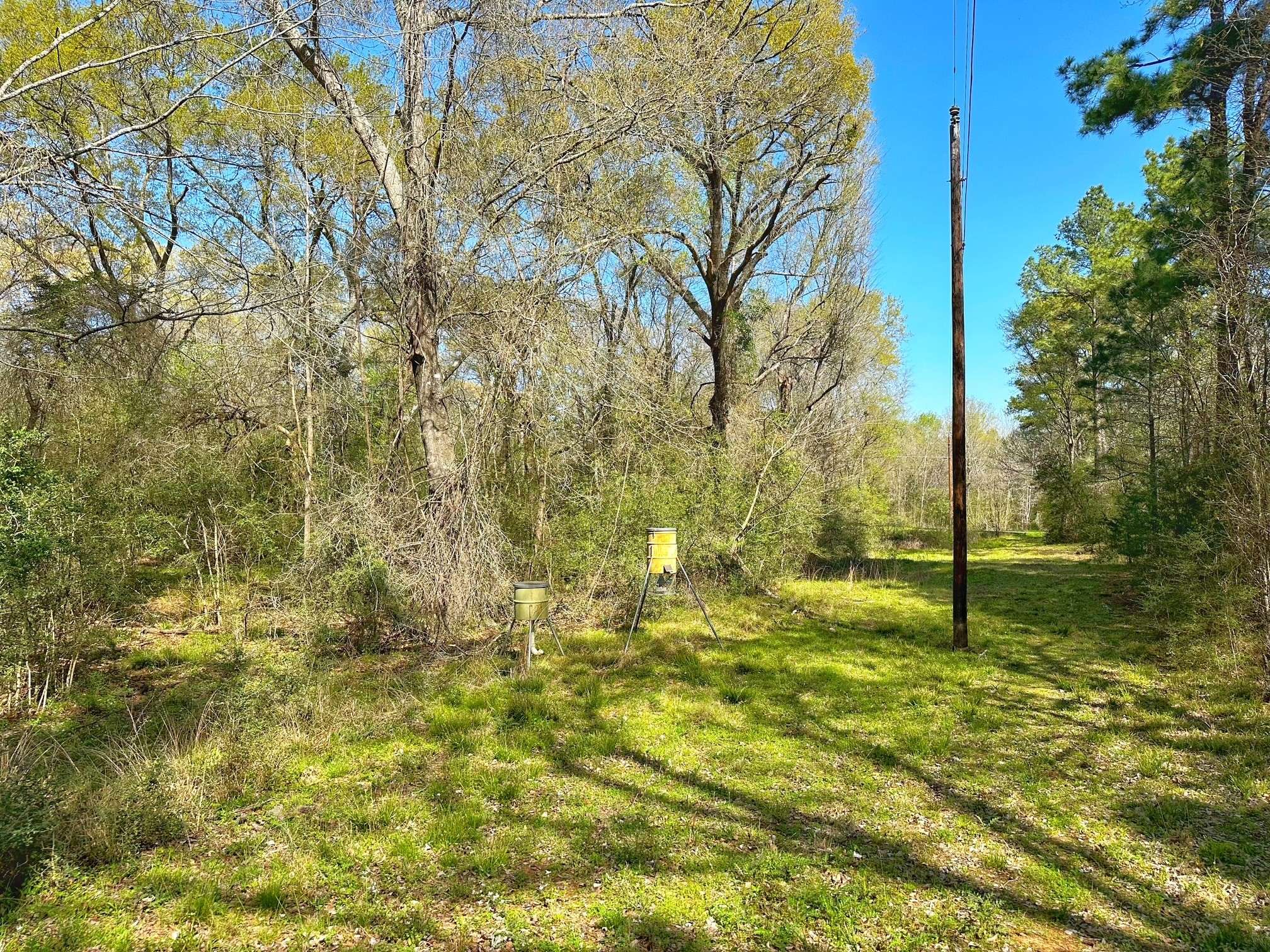 Leona, TX 75850,25 ac CR 134