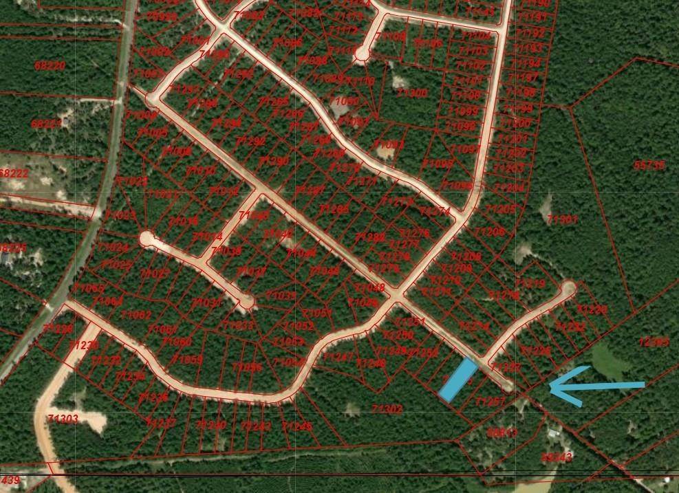 New Waverly, TX 77358,104 Coyote RUN