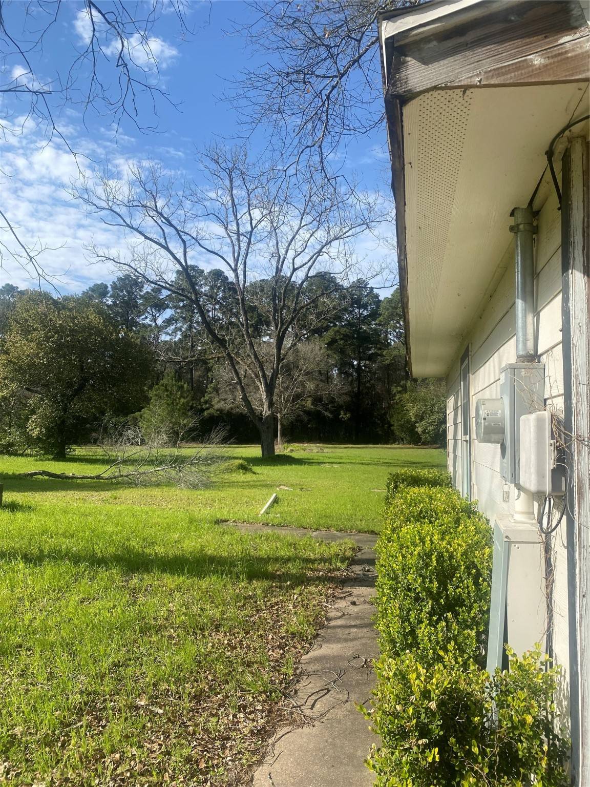 Willis, TX 77378,7315 County Line RD
