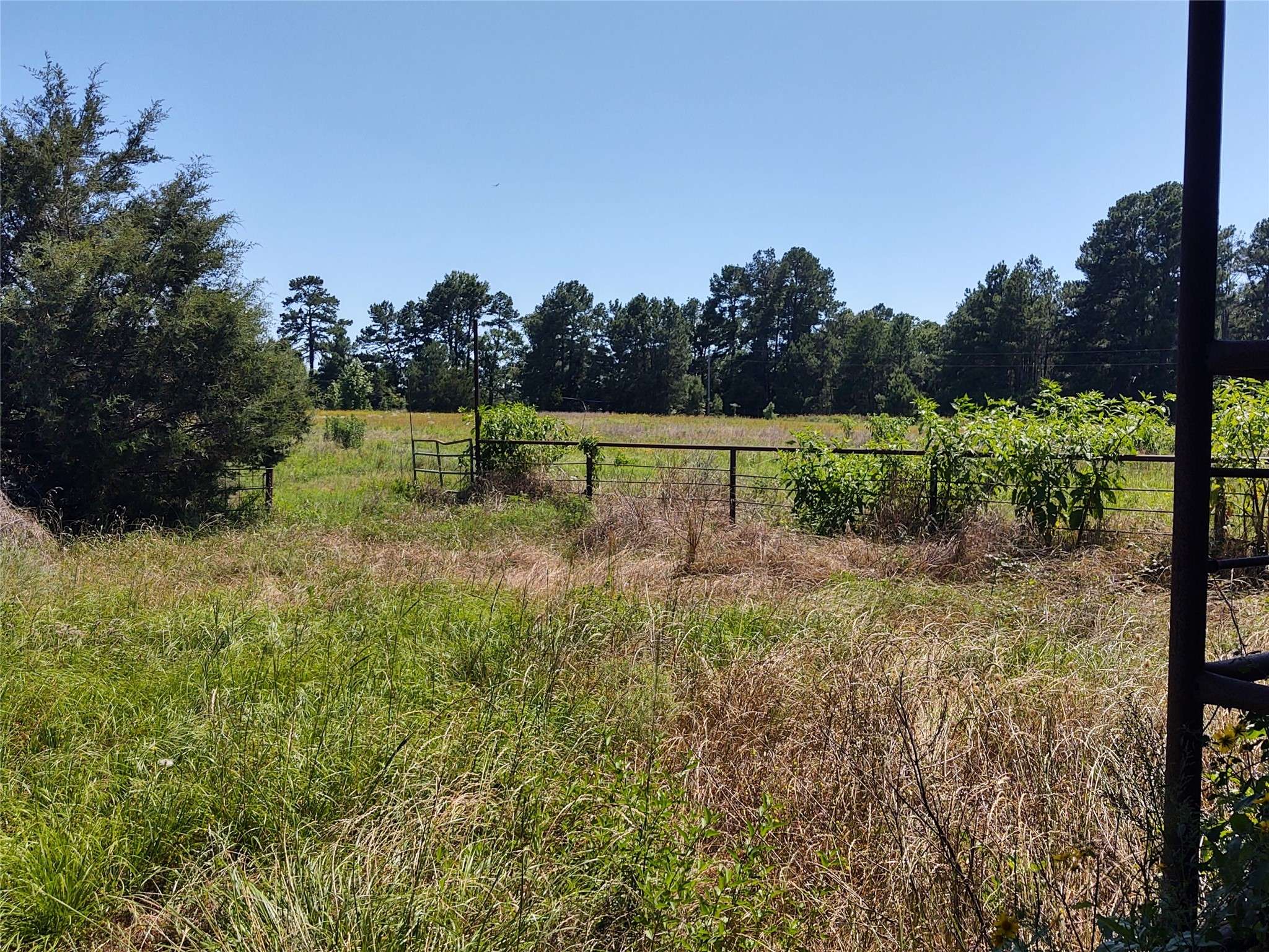 Grapeland, TX 75844,2748 Farm to Market  2423