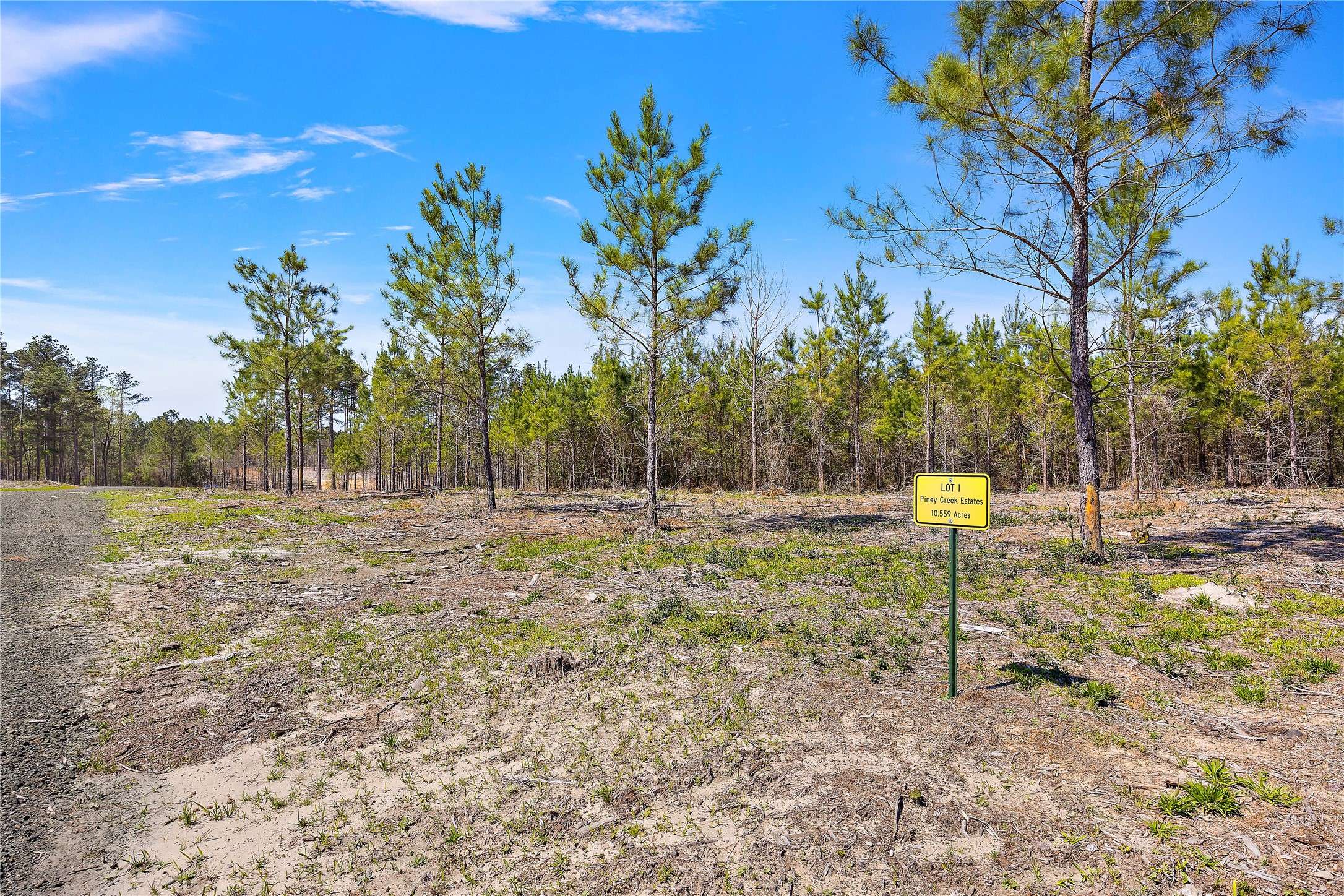 Timpson, TX 75975,142 Piney Creek Estates Rd