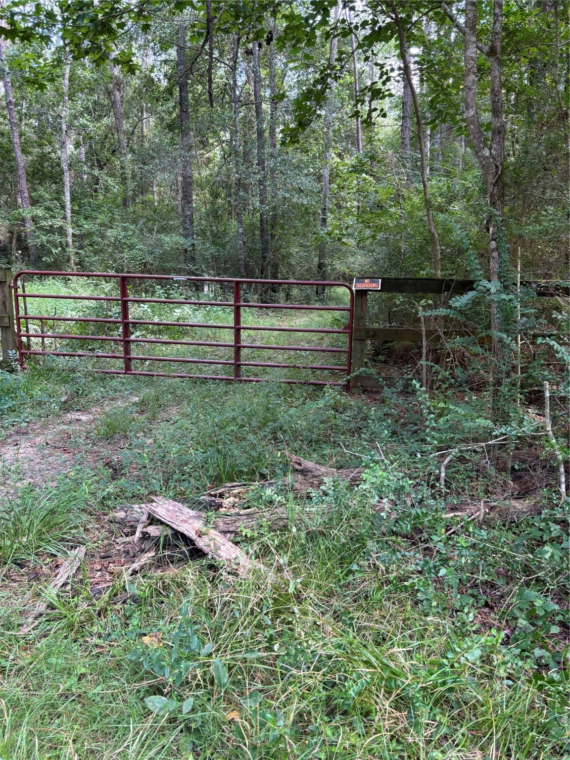 Magnolia, TX 77355,000 Bergman DR