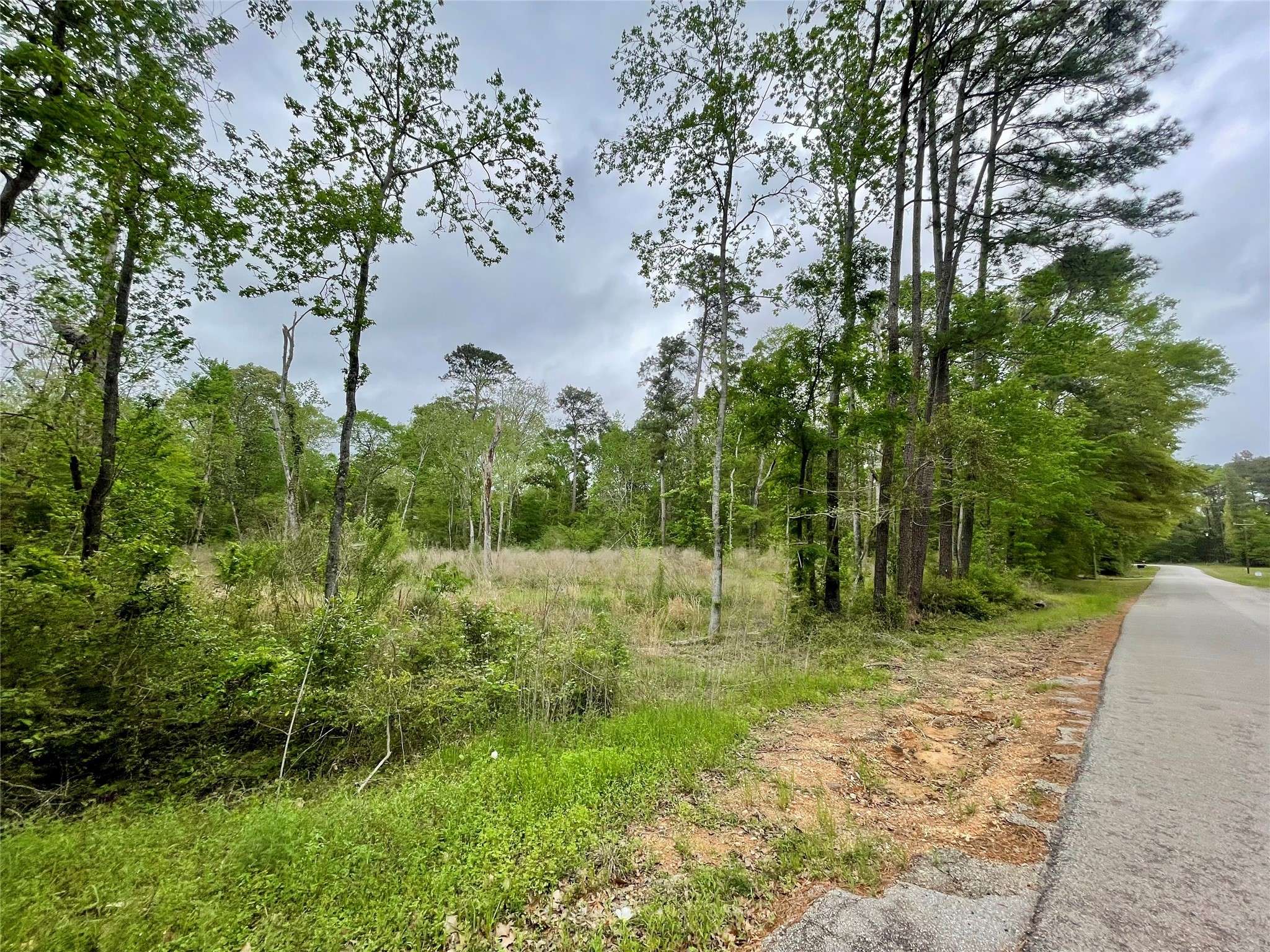 Coldspring, TX 77331,TBD Lake RD
