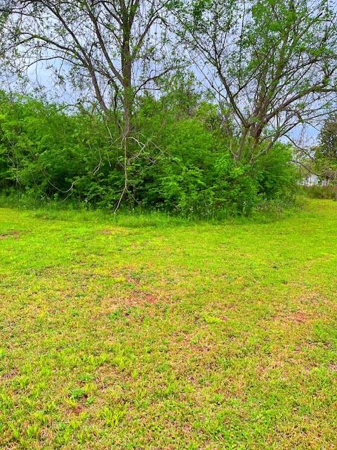 Richmond, TX 77406,0 Lola LN