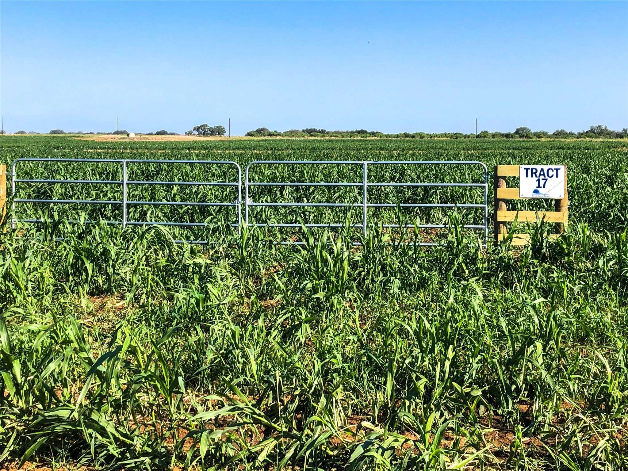 Floresville, TX 78114,Tract 17 CR 136