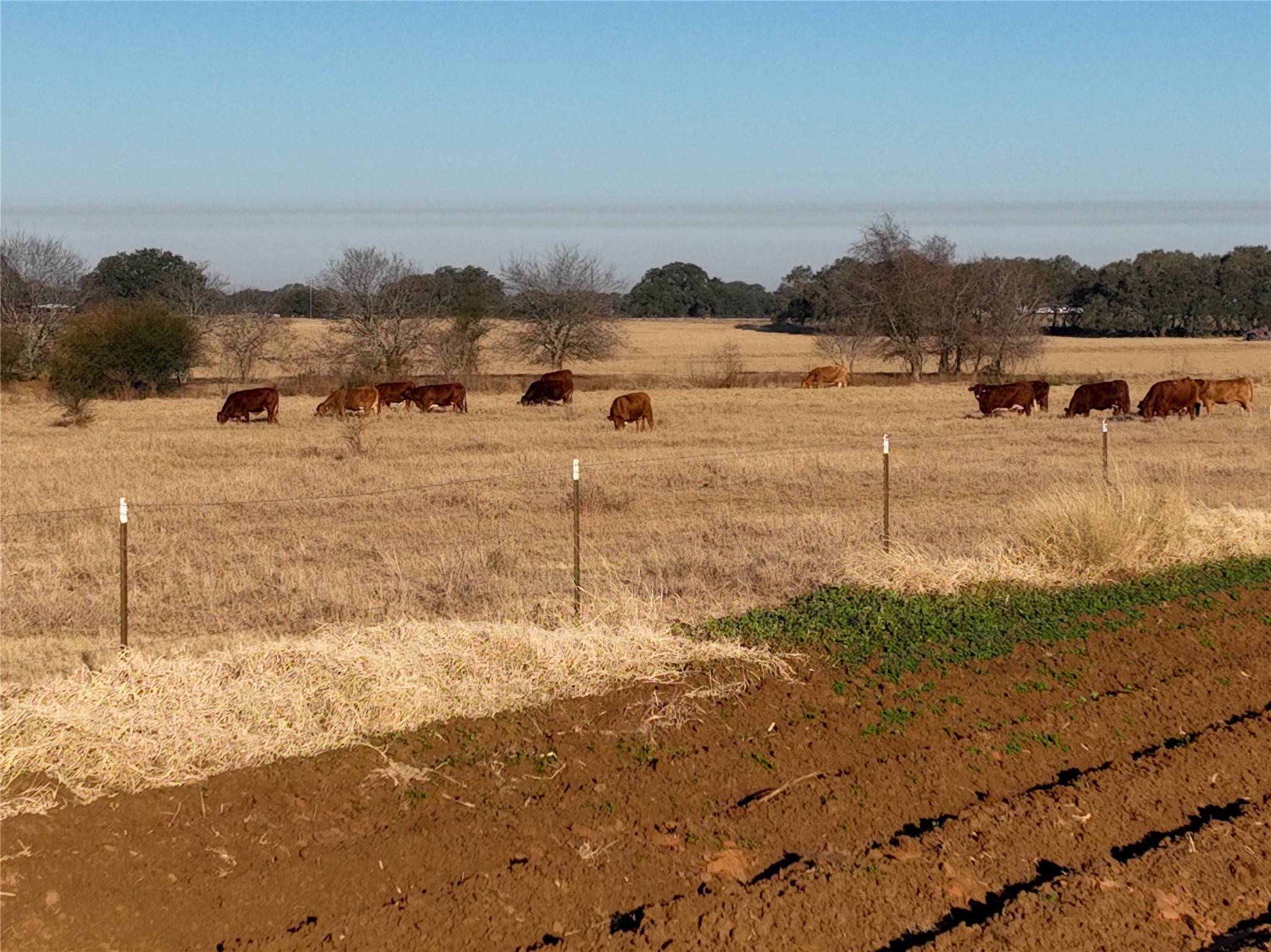 Floresville, TX 78114,Tract 17 CR 136