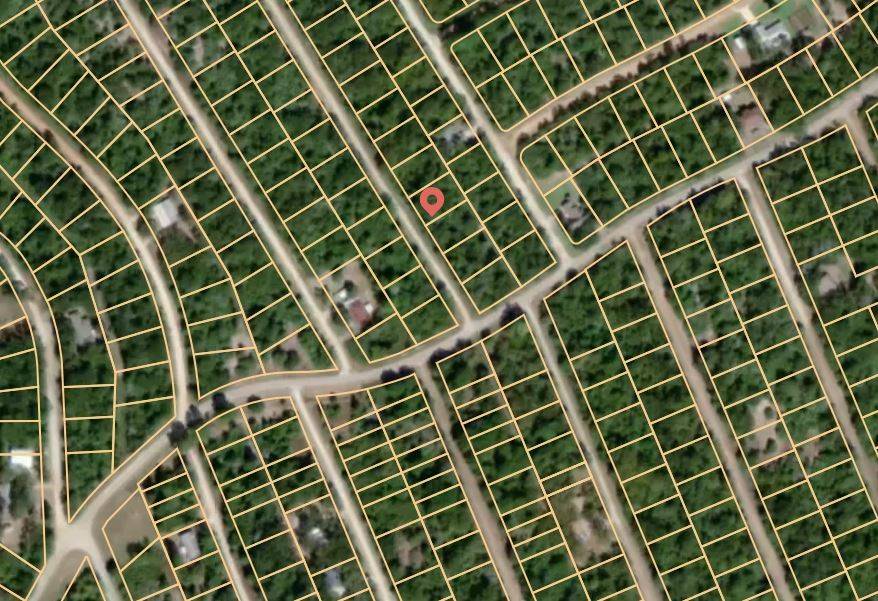 Normangee, TX 77871,Lot 19 Pin Oak