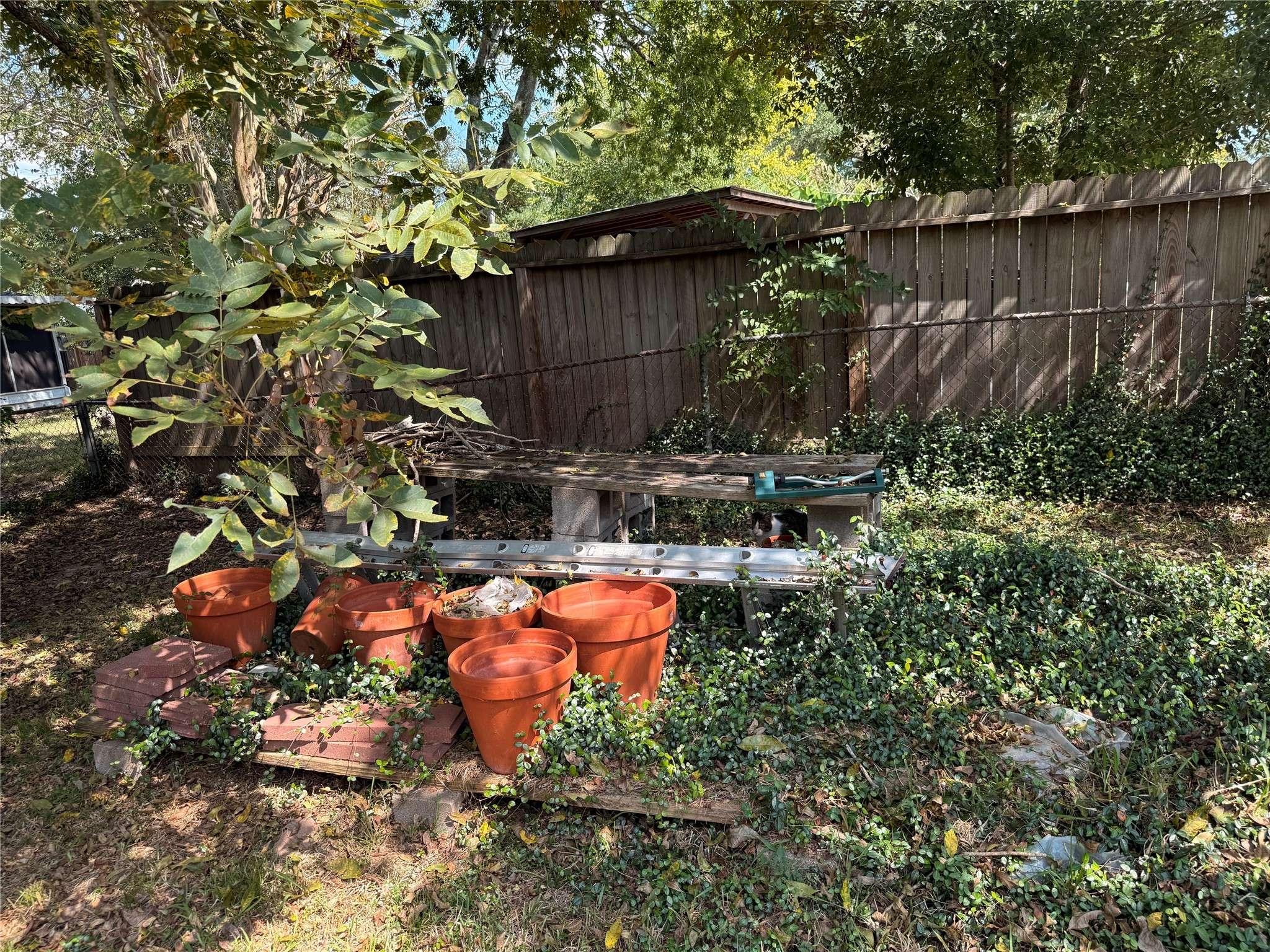 Friendswood, TX 77546,815 Merribrook LN