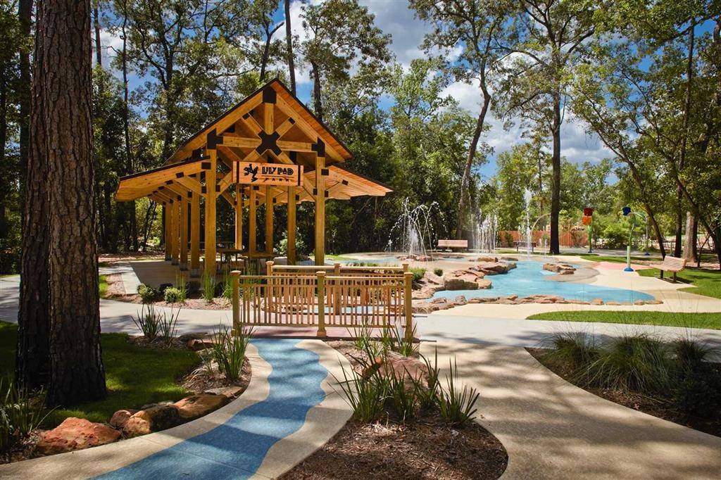 Montgomery, TX 77316,231 Sky Top Drive