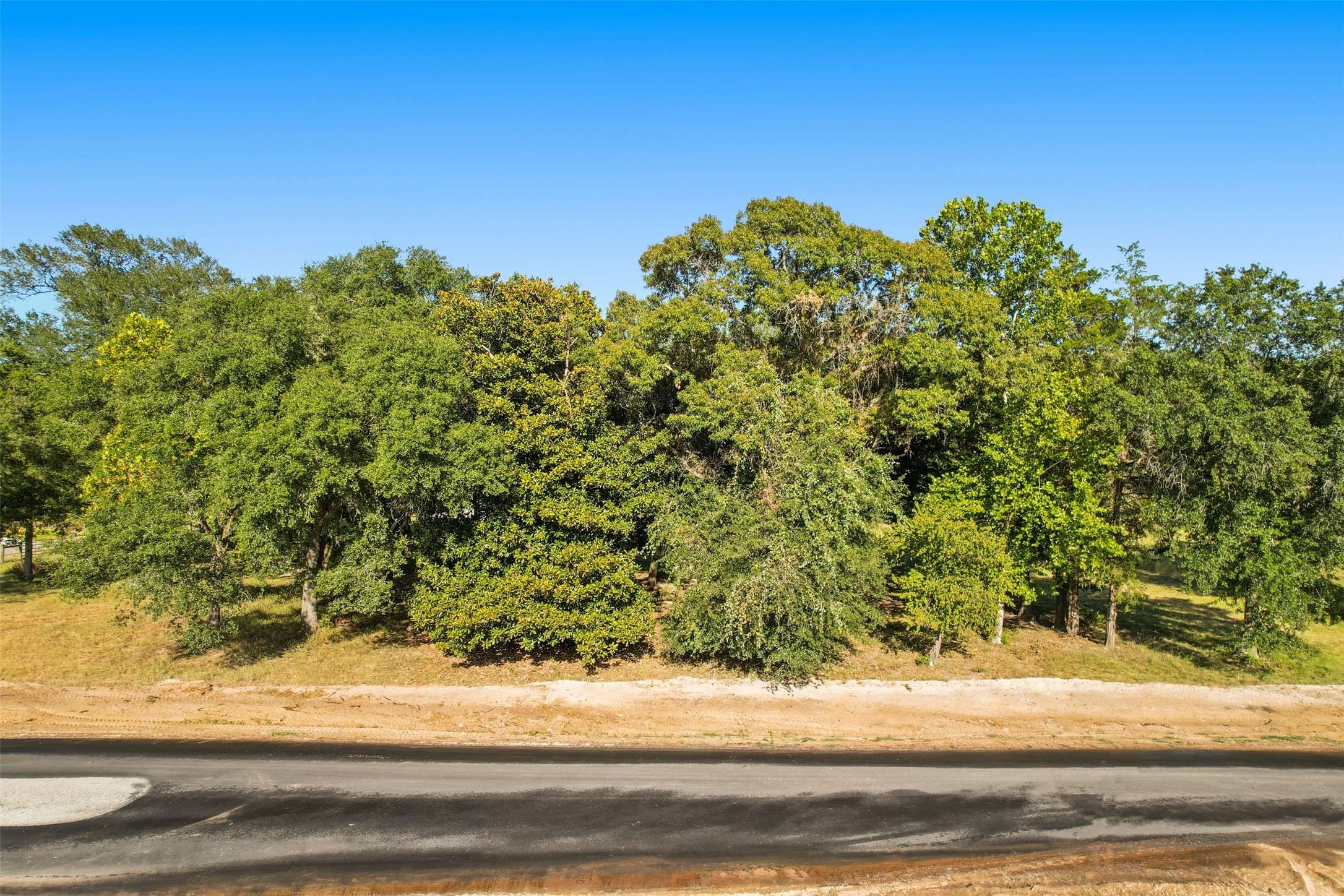 Montgomery, TX 77316,TBD Lonely Creek Circle