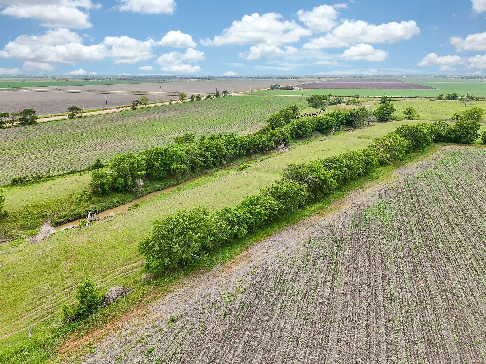 El Campo, TX 77437,000 Fm 1162