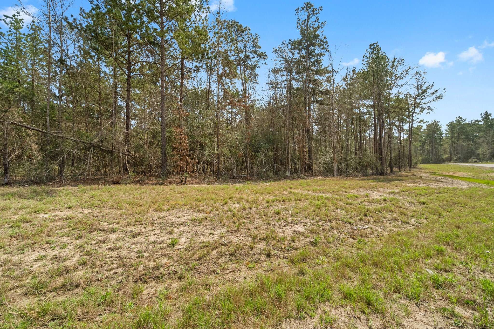 Willis, TX 77378,15370 Red Hawk RD