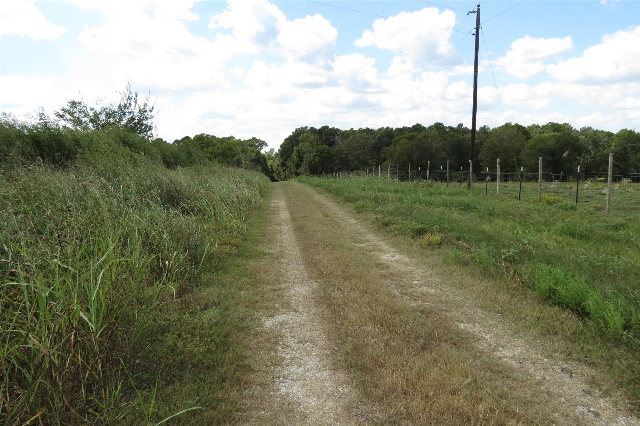 Dodge, TX 77334,TBD 10.24acres Townley Ranch RD
