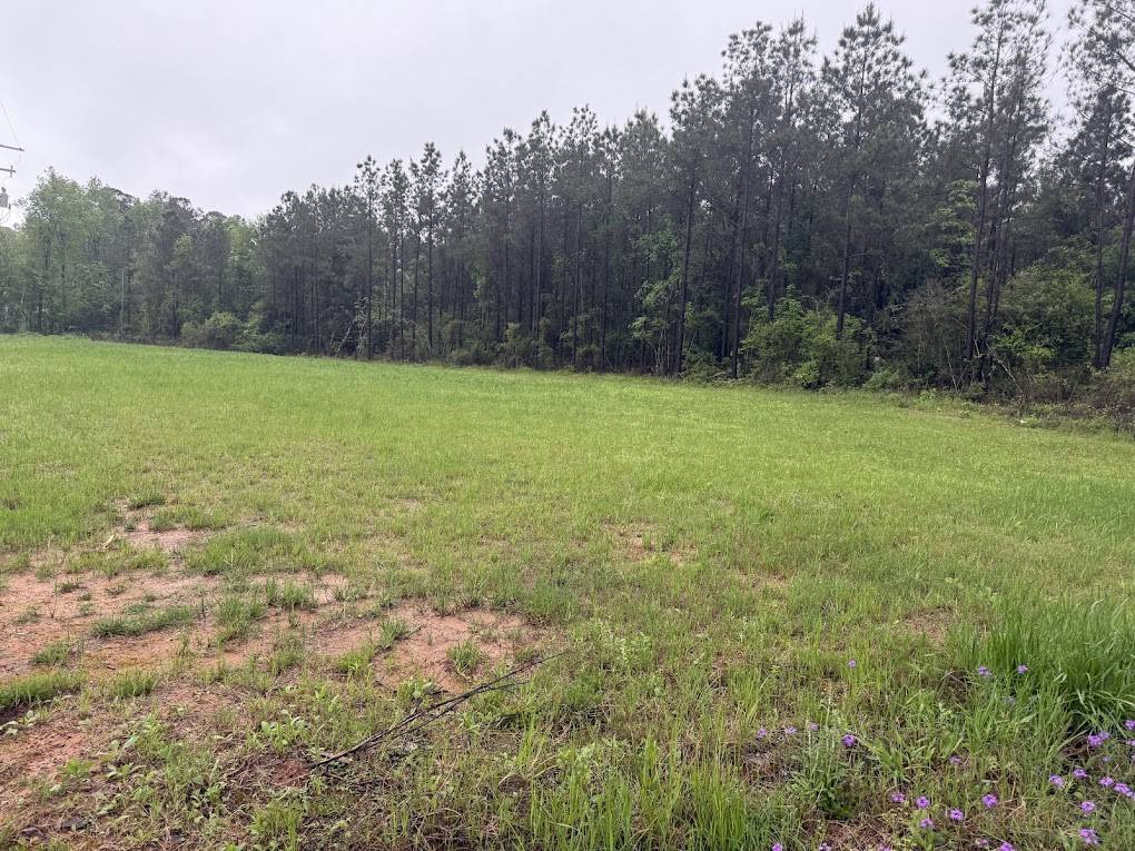 Livingston, TX 77351,0 Pichetto TRL