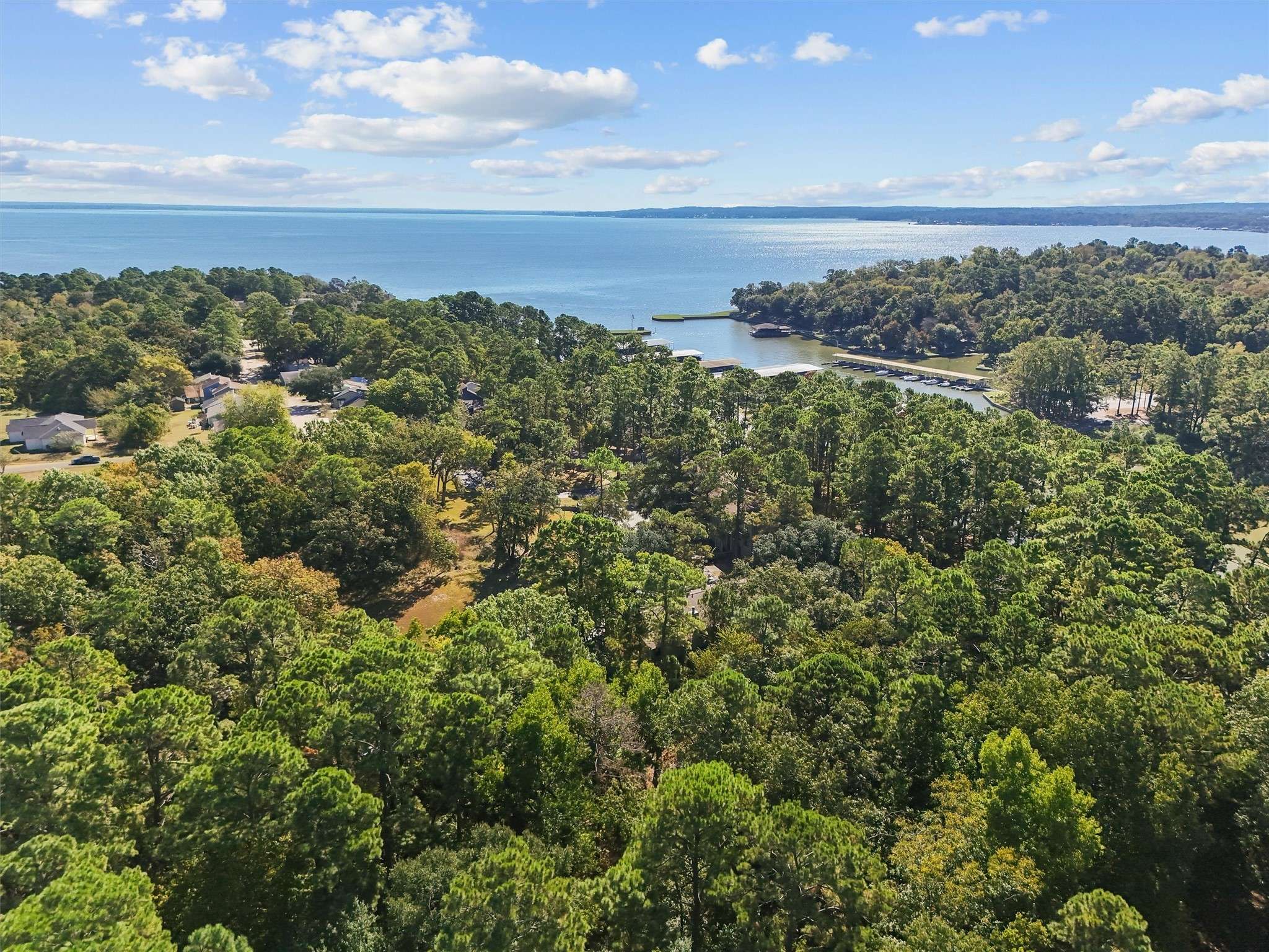 Coldspring, TX 77331,102 Villa WAY