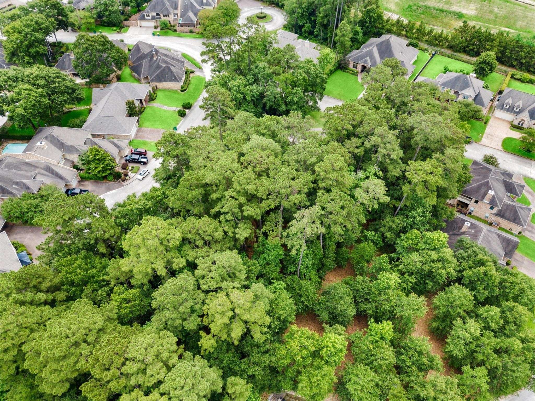 Conroe, TX 77304,901 Longmire