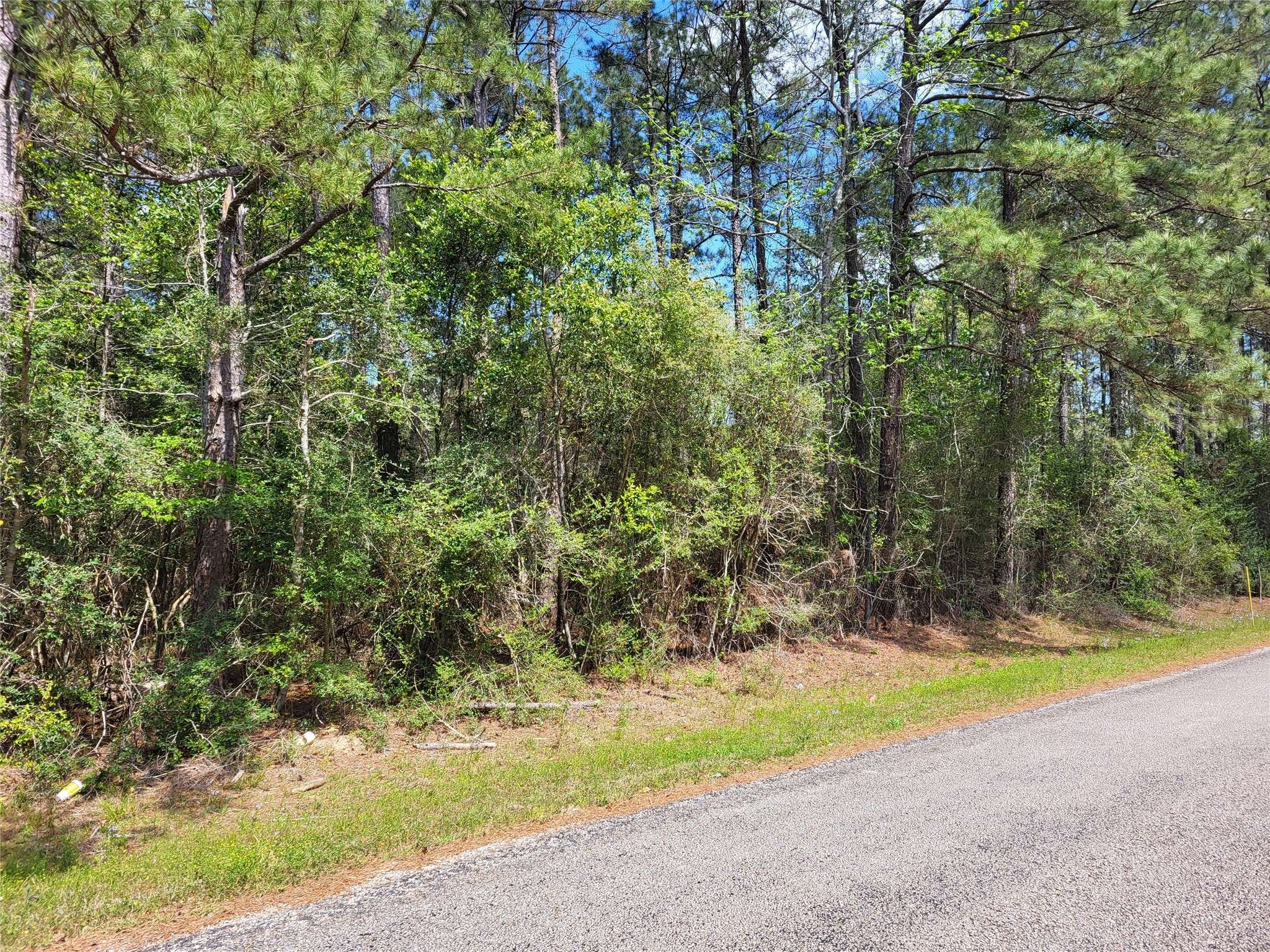 Coldspring, TX 77331,TBD S SIERRA ST