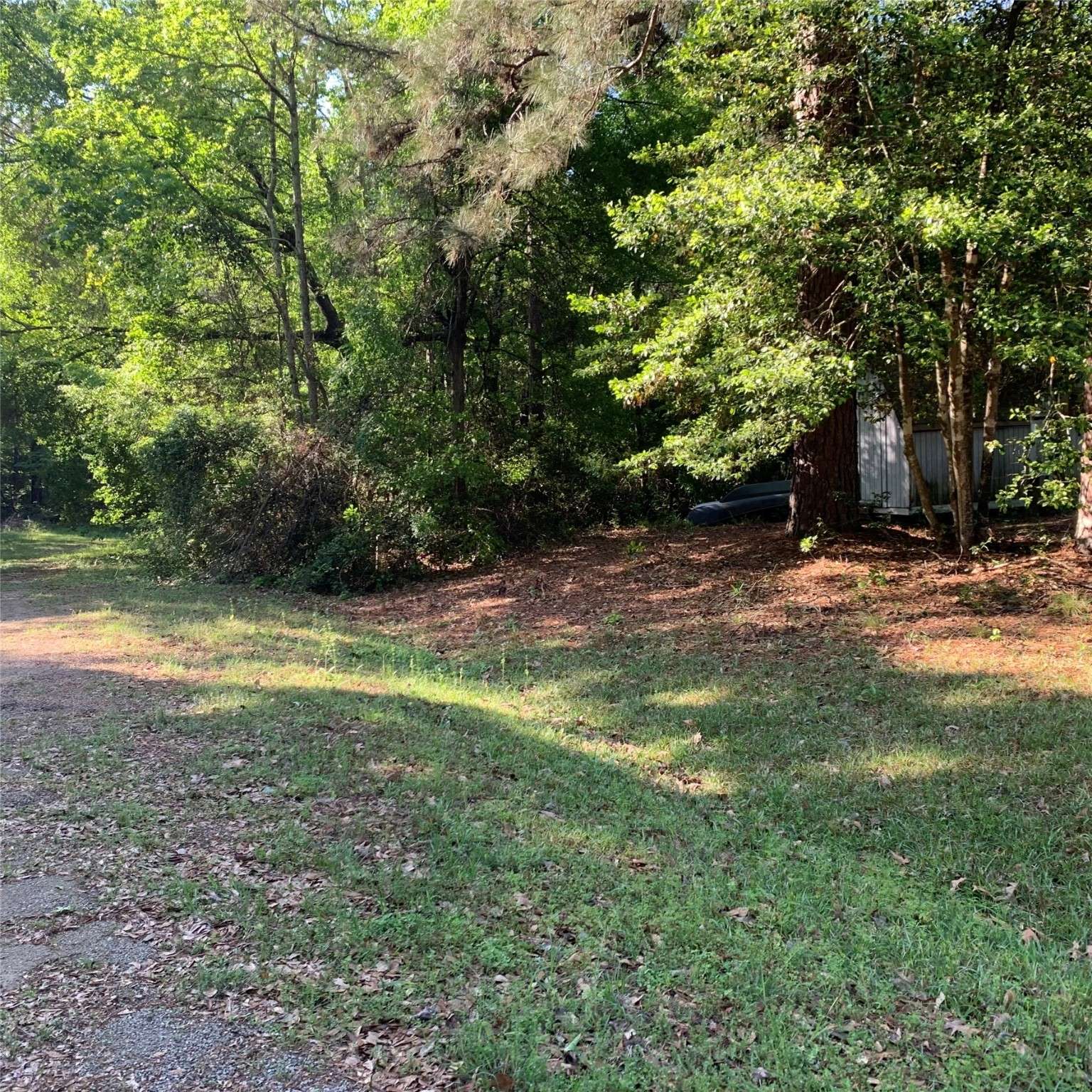 Livingston, TX 77351,957 Plum Tree