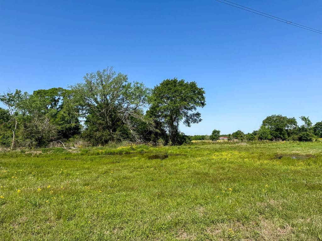Bedias, TX 77831,00034 County Road 155