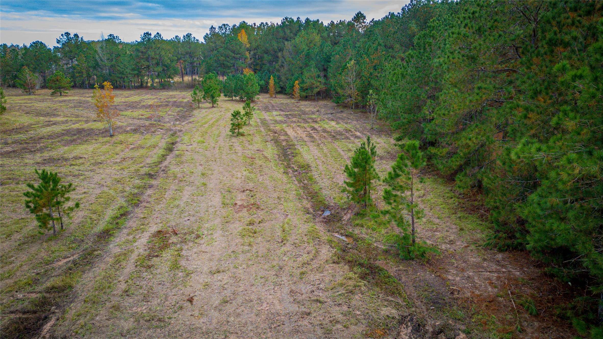 Dayton, TX 77535,0 County Road 3011A