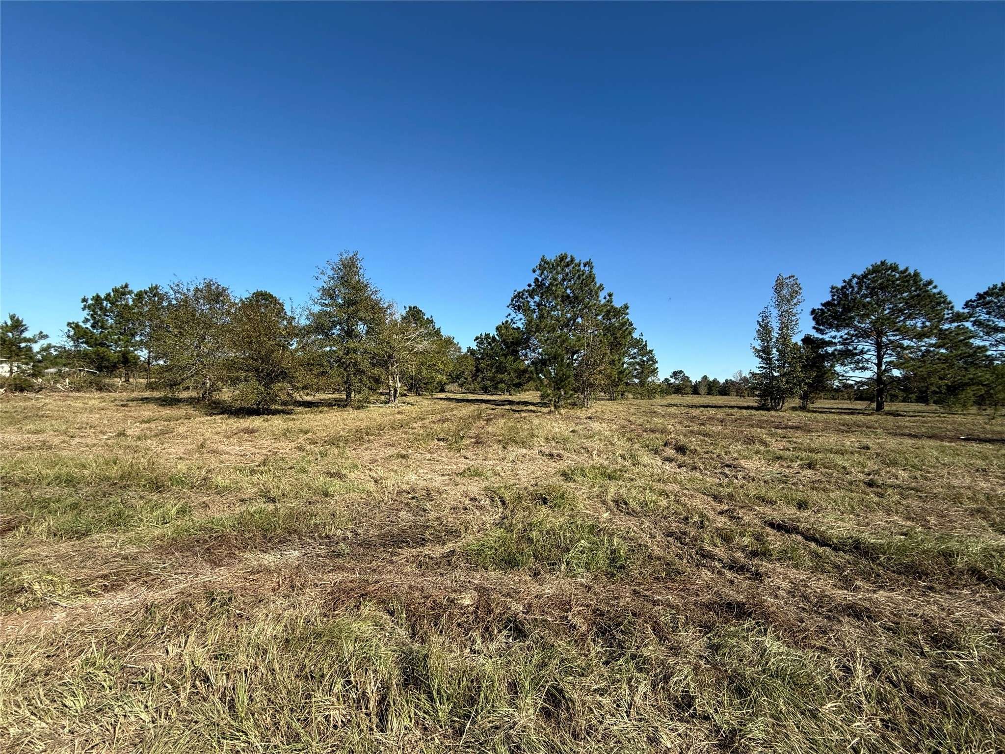 Dayton, TX 77535,0 County Road 3011A